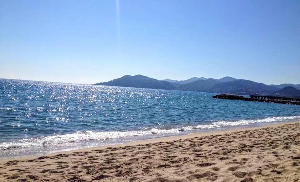 Cannes Studio - Wifi, Clim المظهر الخارجي الصورة